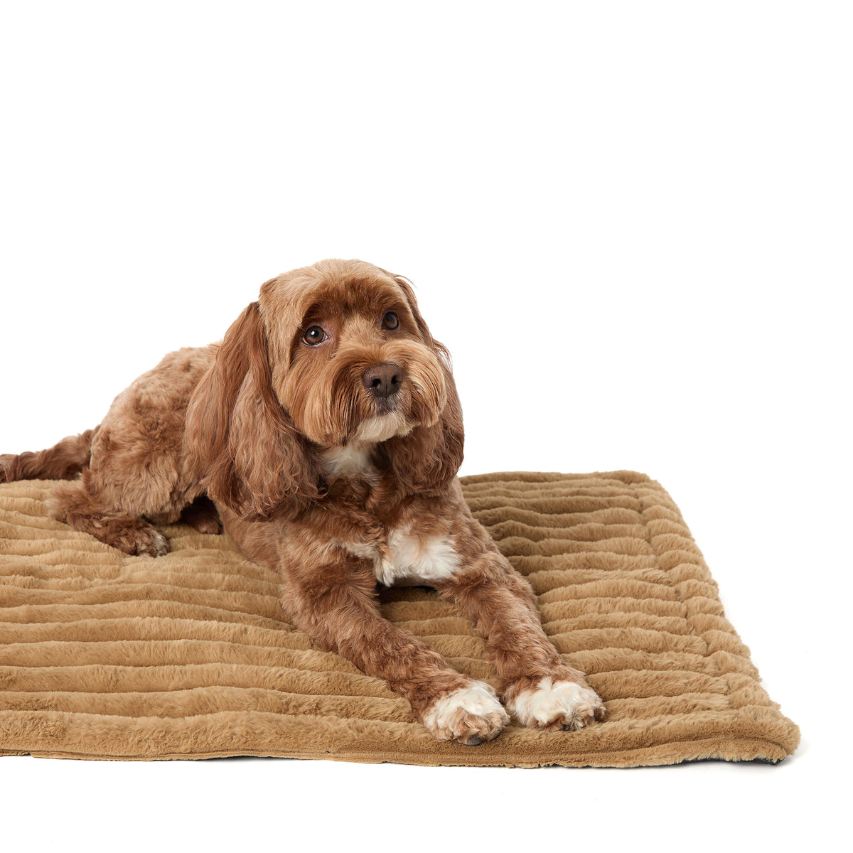 Large Self-Warming Mat - US 9711